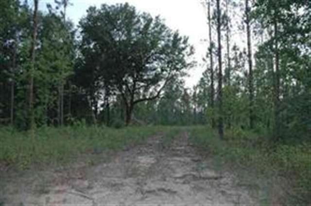 Xxx Tyson Road Lamont, FL 32336 - Photo 1 of 3 Gallery Image 1