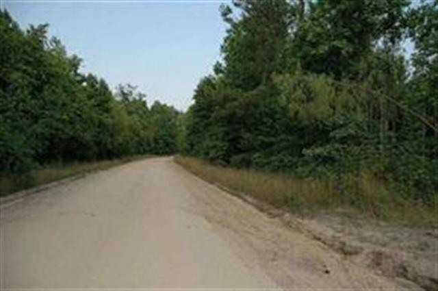 Xxx Tyson Road Lamont, FL 32336 - Photo 2 of 3 Gallery Image 2