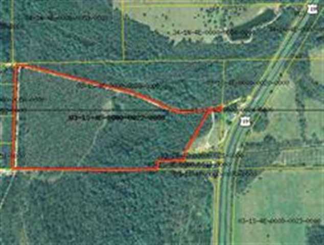 Xxx Tyson Road Lamont, FL 32336 - Photo 3 of 3 Gallery Image 3