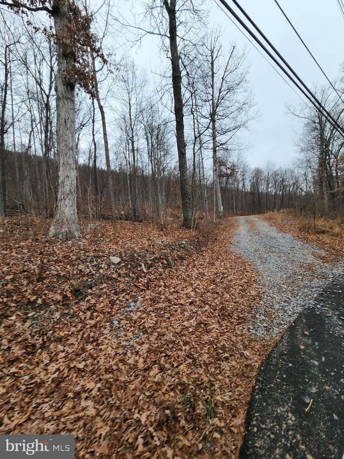 Nancy Jack Road Gerrardstown, WV 25420 - Photo 2 of 21 Gallery Image 2