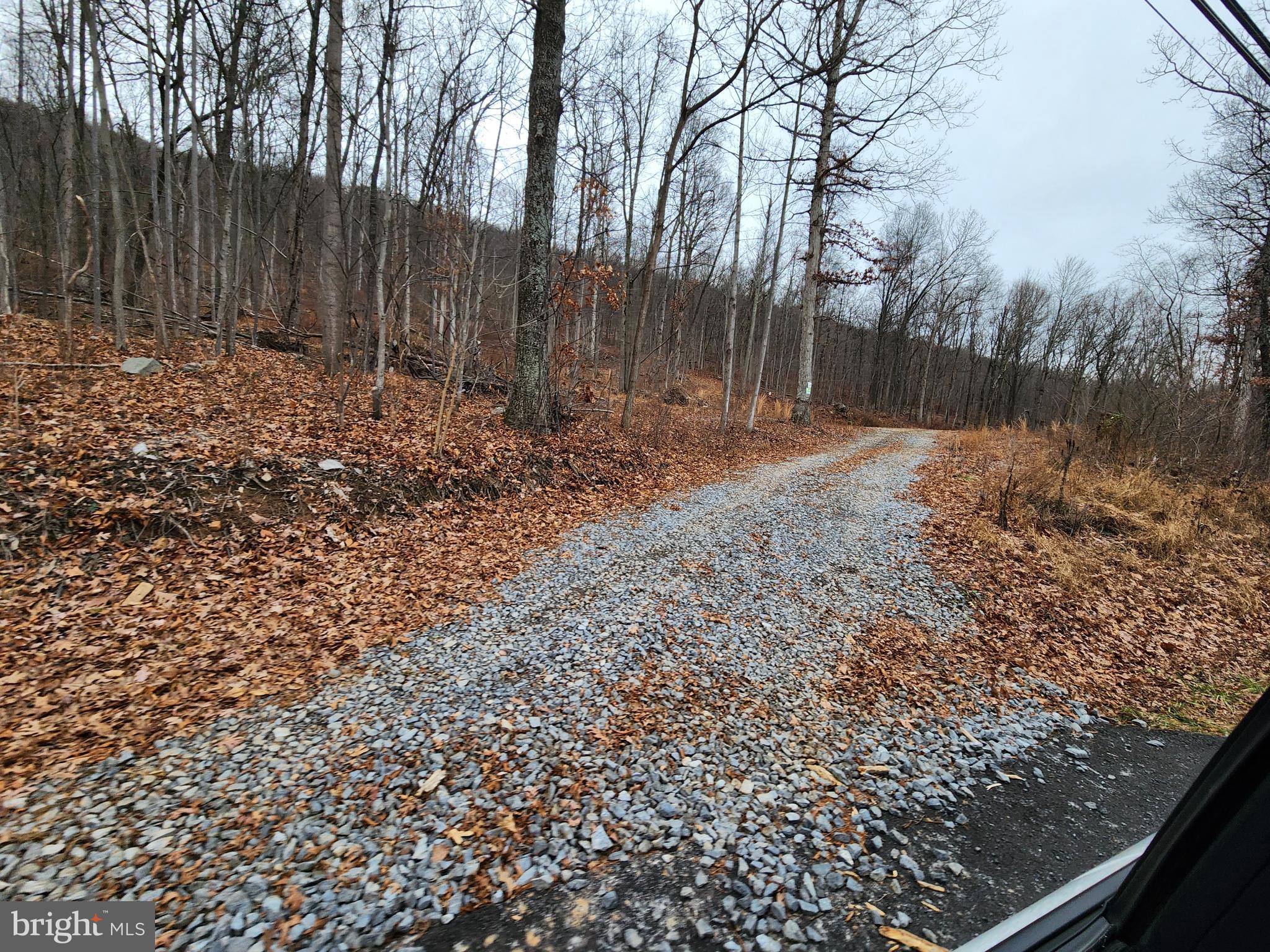 Nancy Jack Road Gerrardstown, WV 25420 - Photo 3 of 21 Gallery Image 3