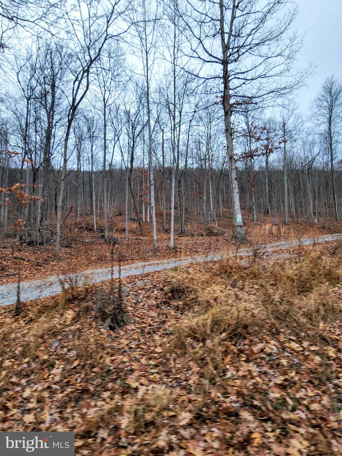 Nancy Jack Road Gerrardstown, WV 25420 - Photo 4 of 21 Gallery Image 4