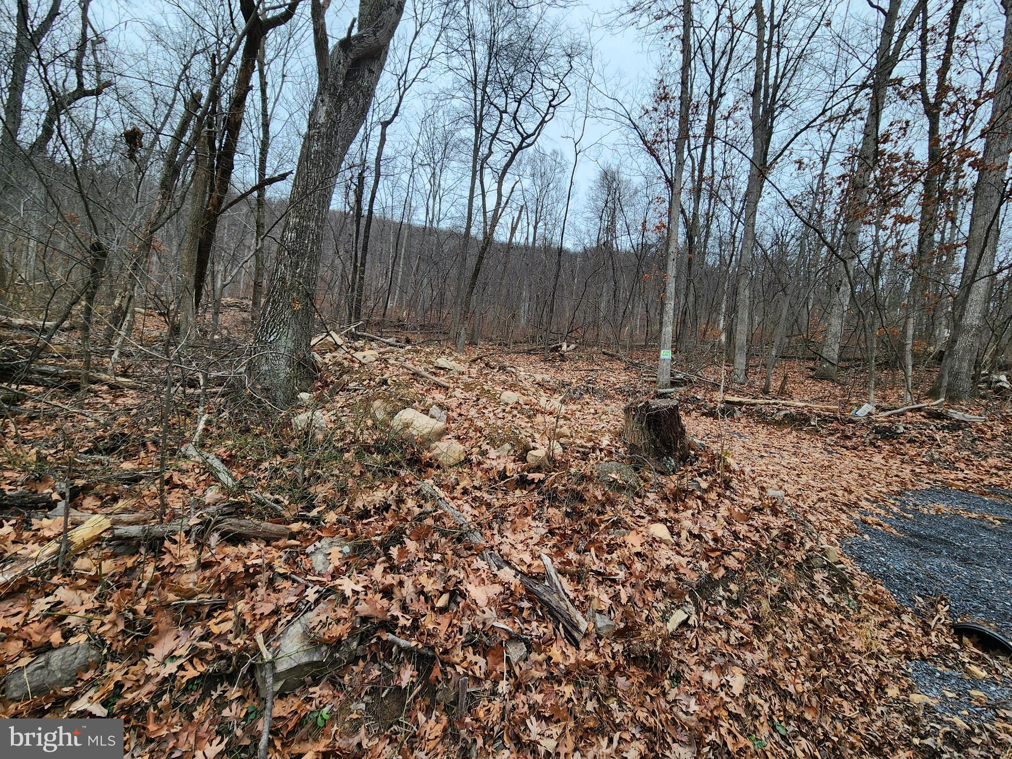 Nancy Jack Road Gerrardstown, WV 25420 - Photo 5 of 21 Gallery Image 5
