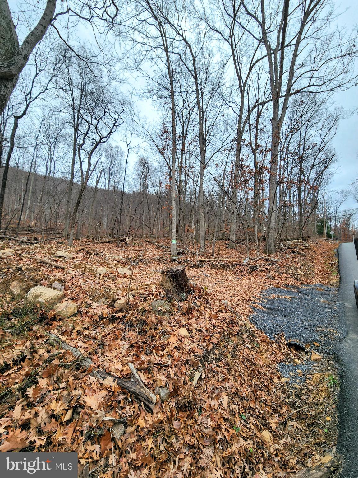 Nancy Jack Road Gerrardstown, WV 25420 - Photo 6 of 21 Gallery Image 6