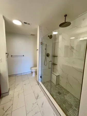 a bathroom with a shower and a toilet