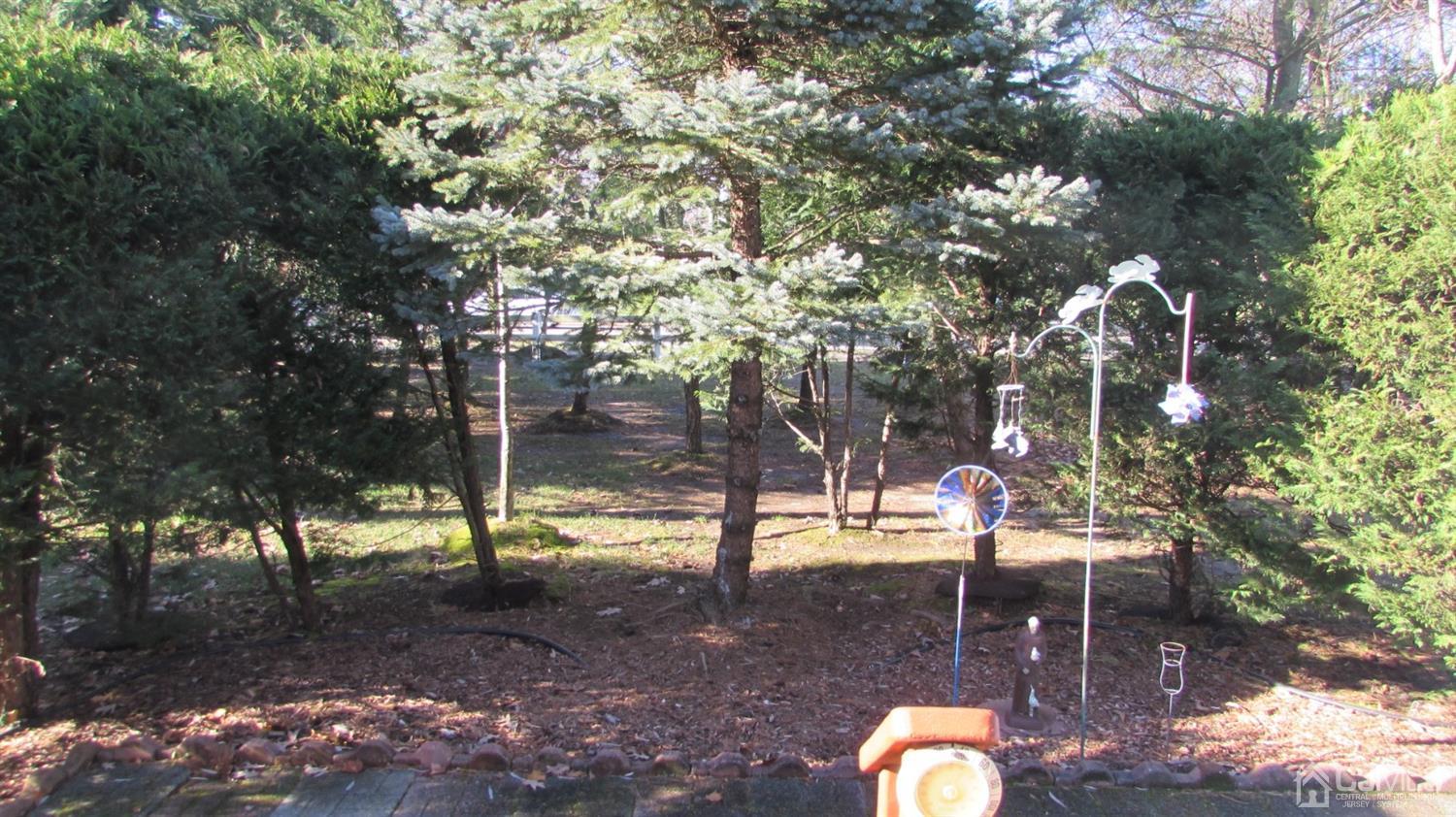 91 Wordsworth Road Brick, NJ 08724 - Photo 39 of 41 a backyard of a house with lots of green space