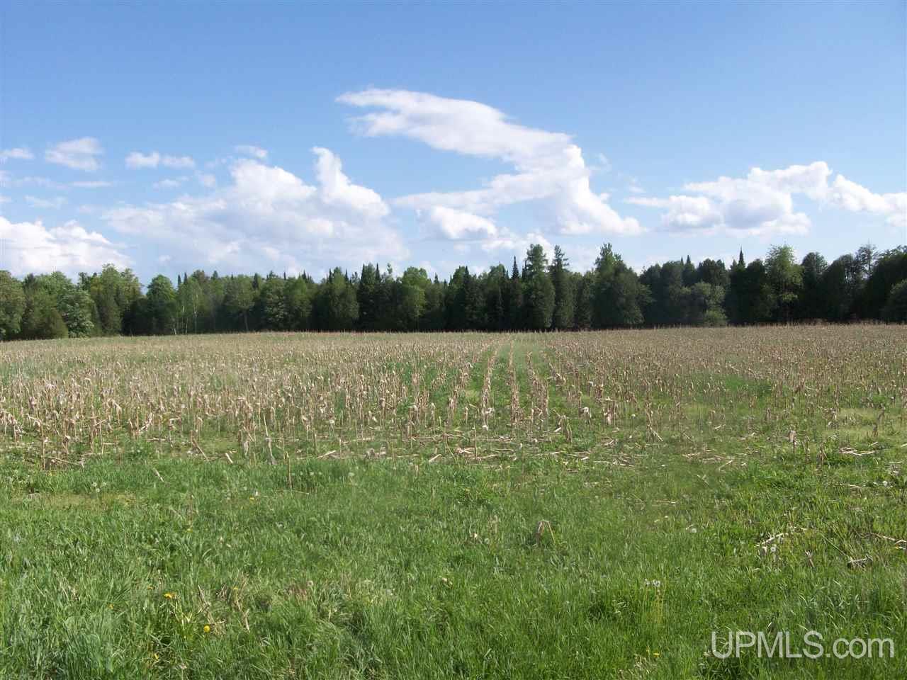 Tbd Co Rd 426 & River Road Cornell, MI 49818 - Photo 9 of 15