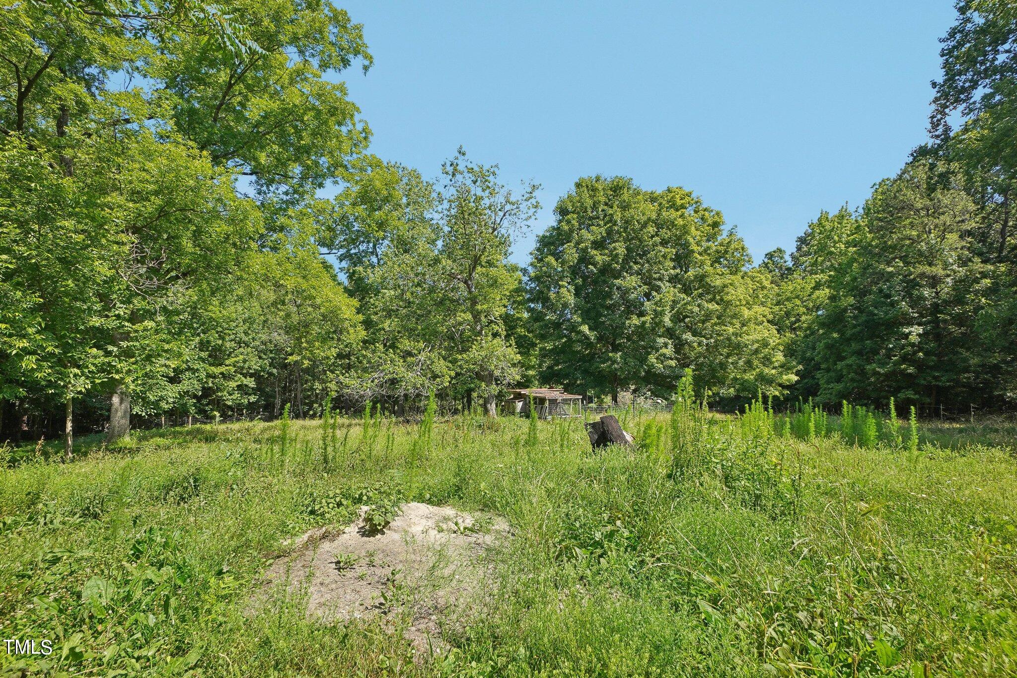 425 Kittrell Road Kittrell, NC 27544 - Photo 54 of 69 Fenced pasture