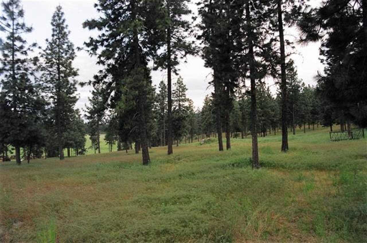 0 South Andrus Road Cheney, WA 99004 - Photo 1 of 1