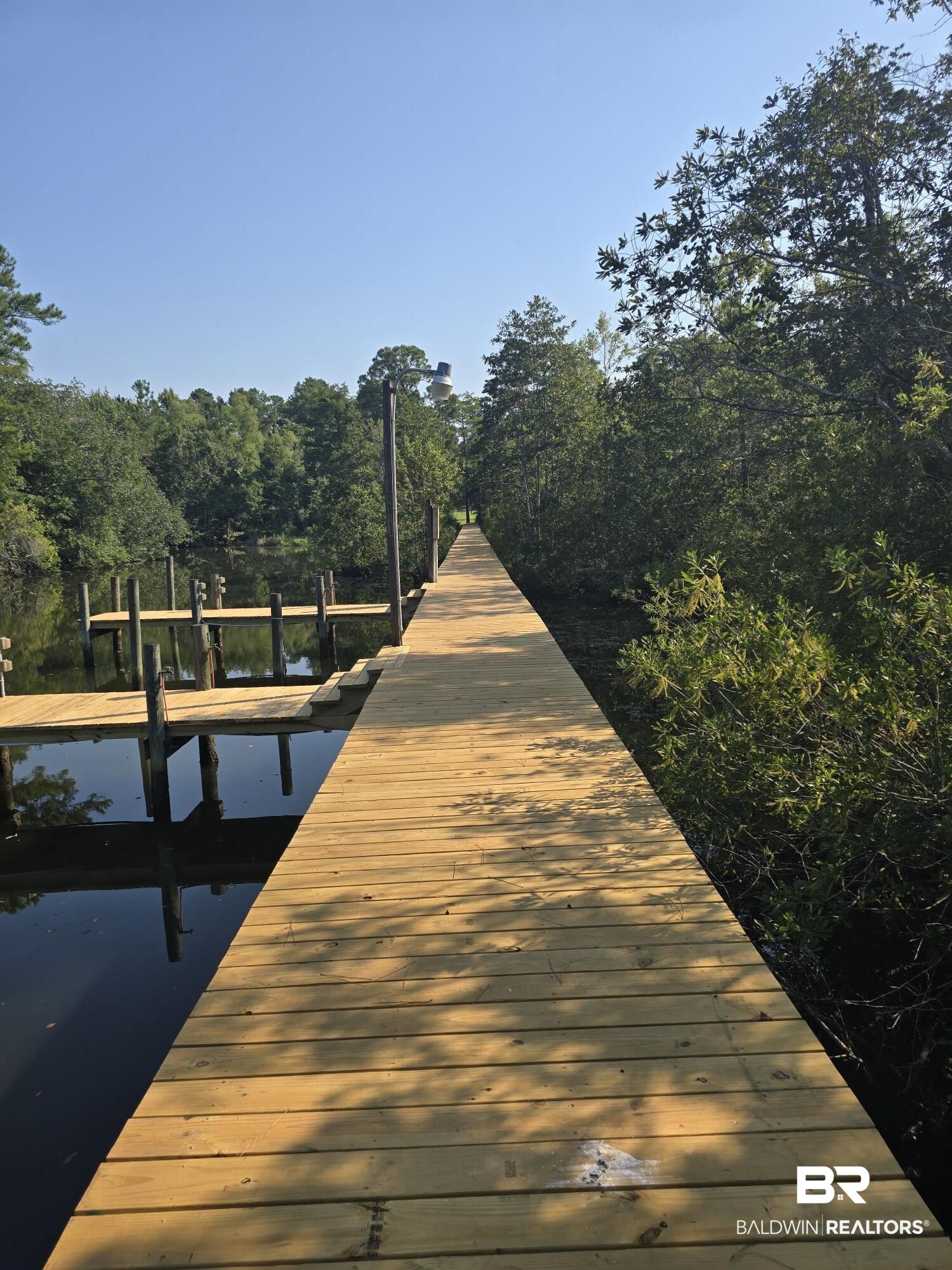 4055 Riviere Du Chien Road Mobile, AL 36693 - Photo 46 of 63 View of dock