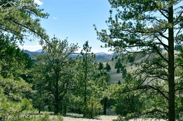 Lot 60 B Road Guffey, CO 80820 - Photo 16 of 28