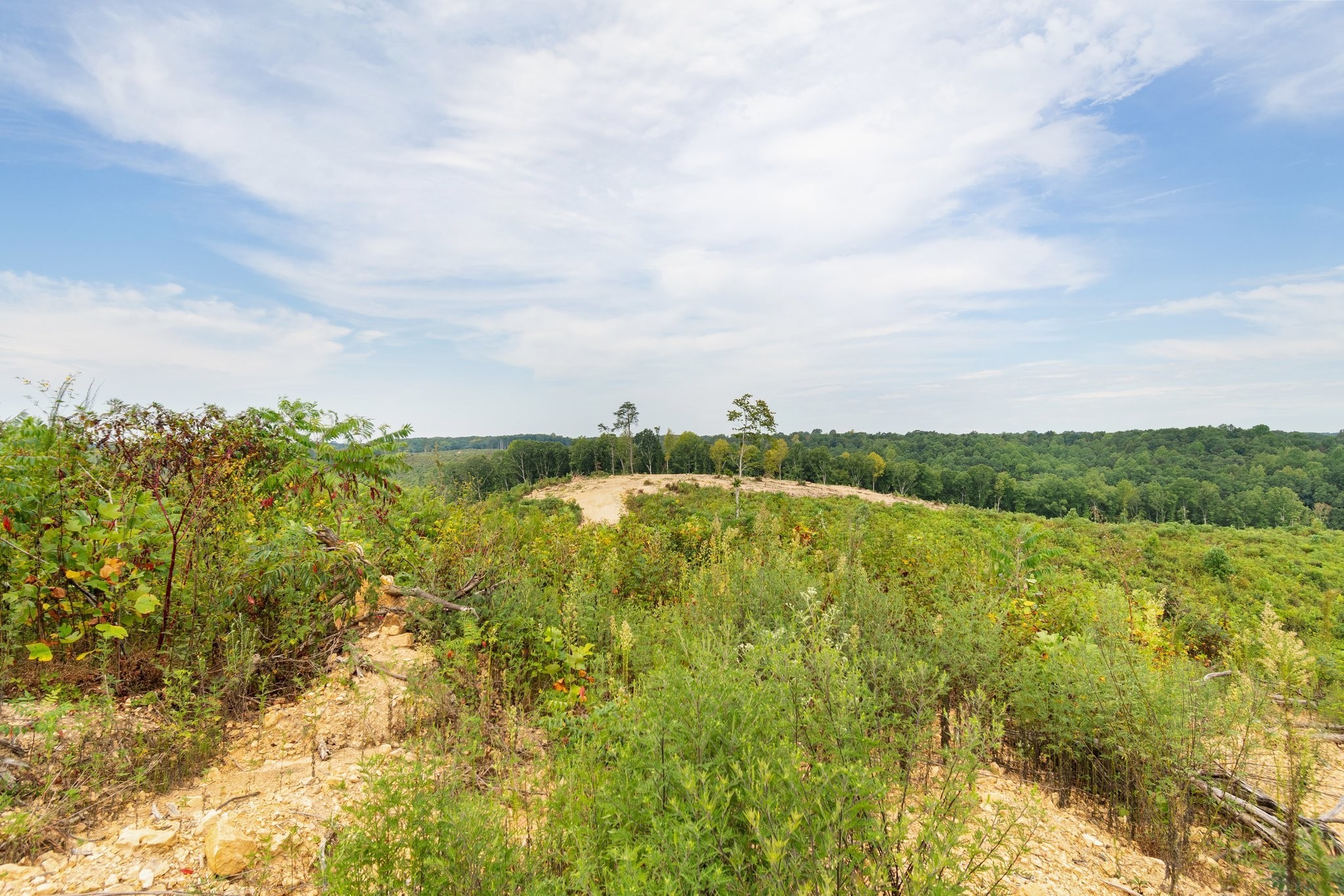 479 Springer Road Hohenwald, TN 38462 - Photo 12 of 21 Gallery Image 12