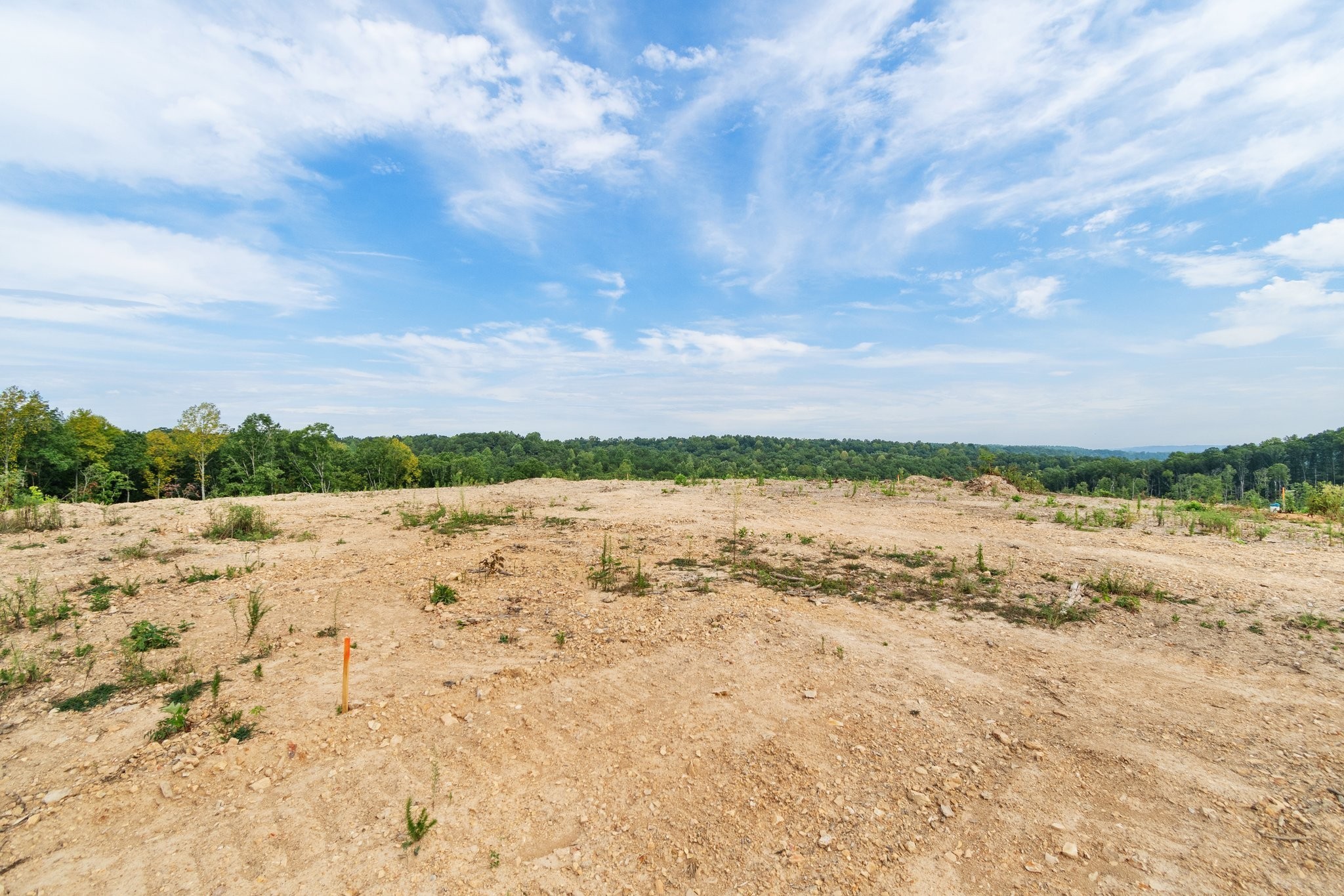 479 Springer Road Hohenwald, TN 38462 - Photo 16 of 21 Gallery Image 16