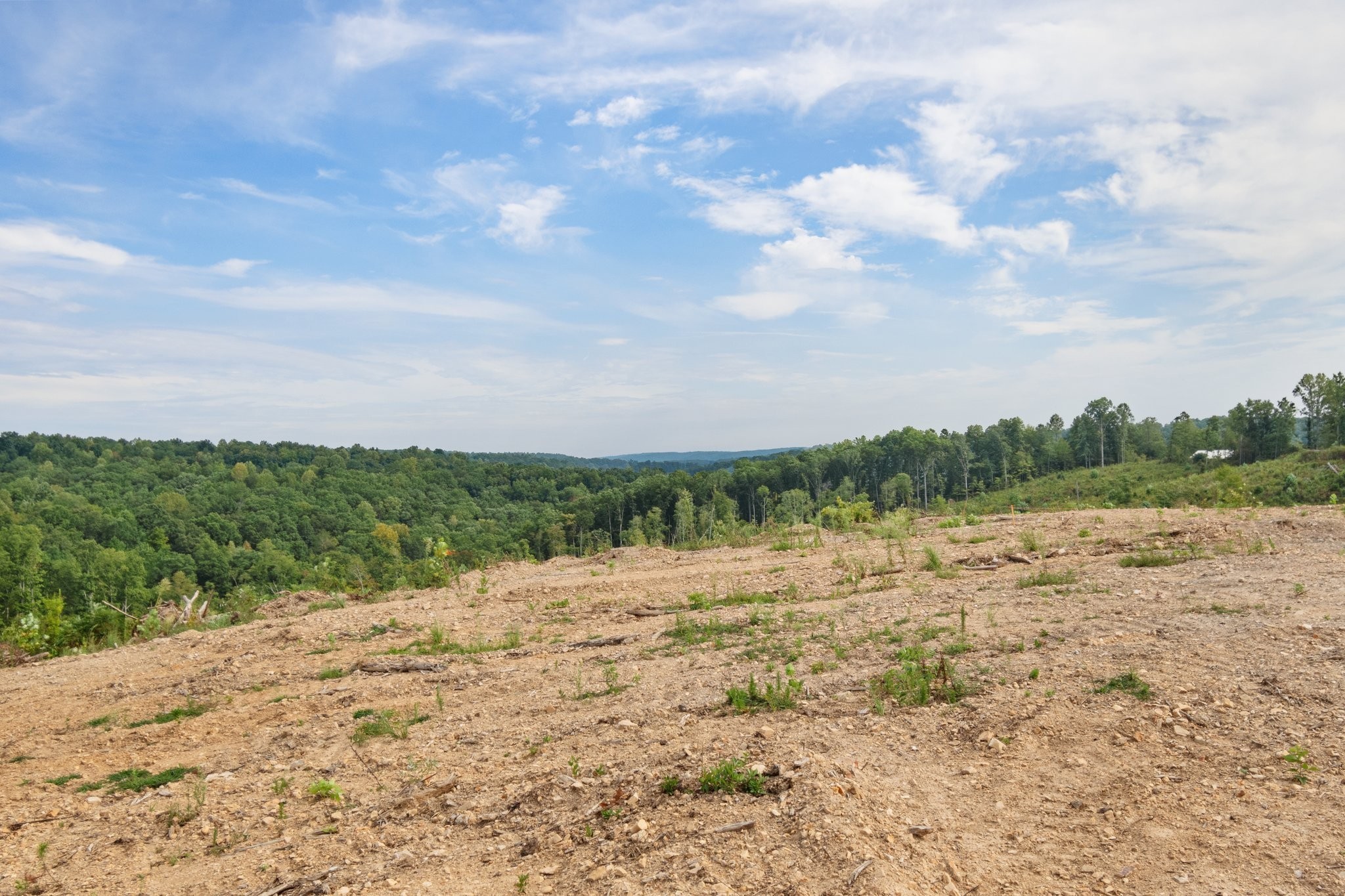 479 Springer Road Hohenwald, TN 38462 - Photo 18 of 21 Gallery Image 18