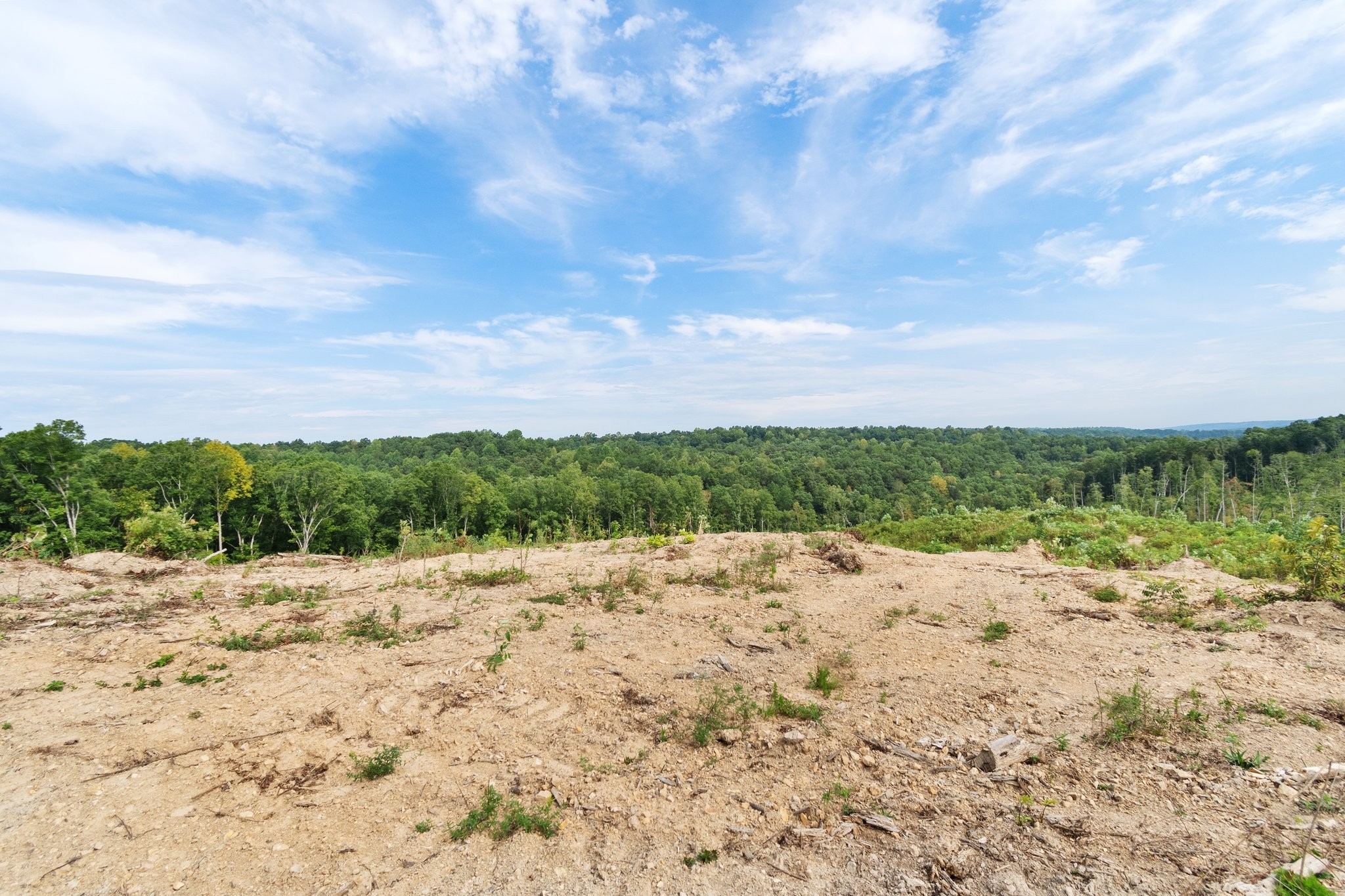 479 Springer Road Hohenwald, TN 38462 - Photo 19 of 21 Gallery Image 19