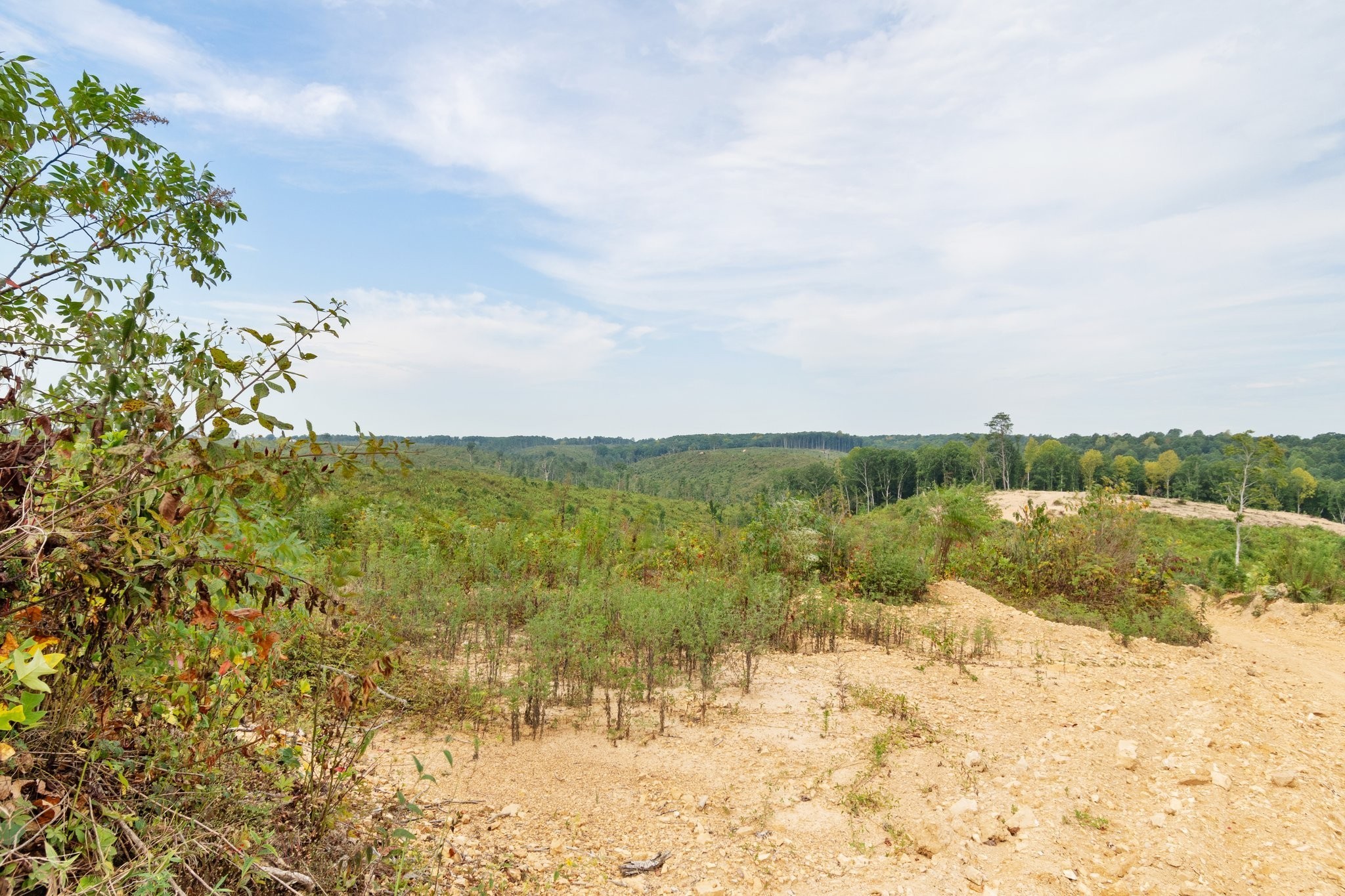 479 Springer Road Hohenwald, TN 38462 - Photo 10 of 21 Gallery Image 10