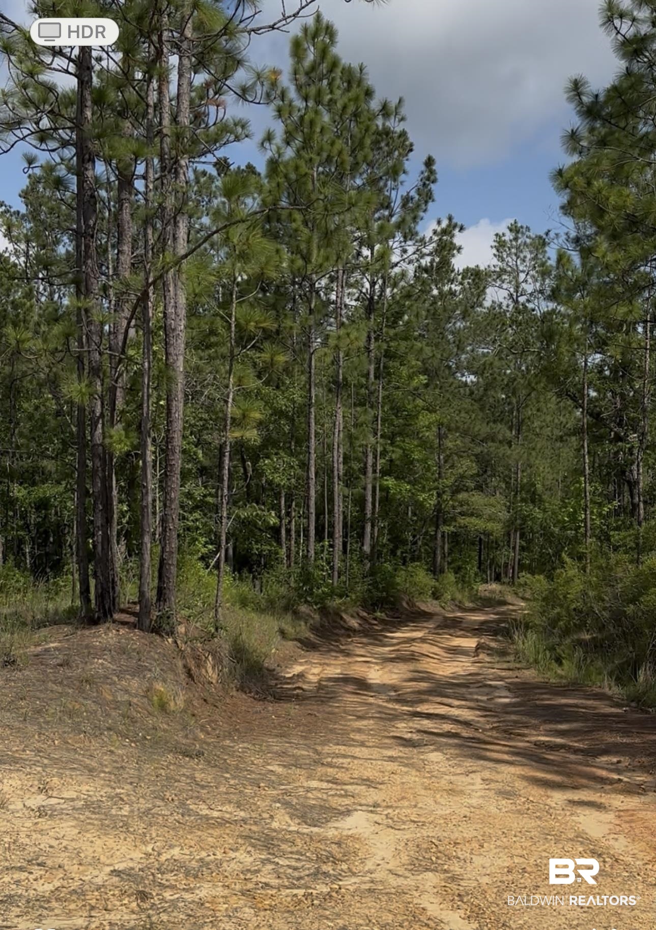 0 George Thomley Road Perdido, AL 36562 - Photo 7 of 7