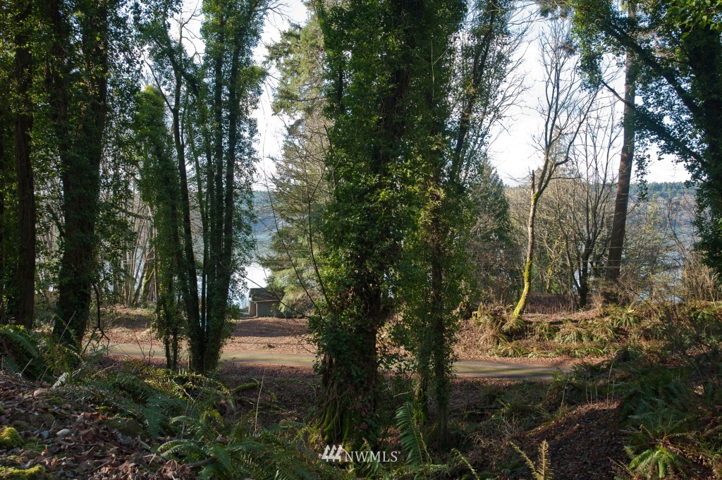 271-xx Hake Road Southwest Vashon, WA 98070 - Photo 1 of 1 Gallery Image 1