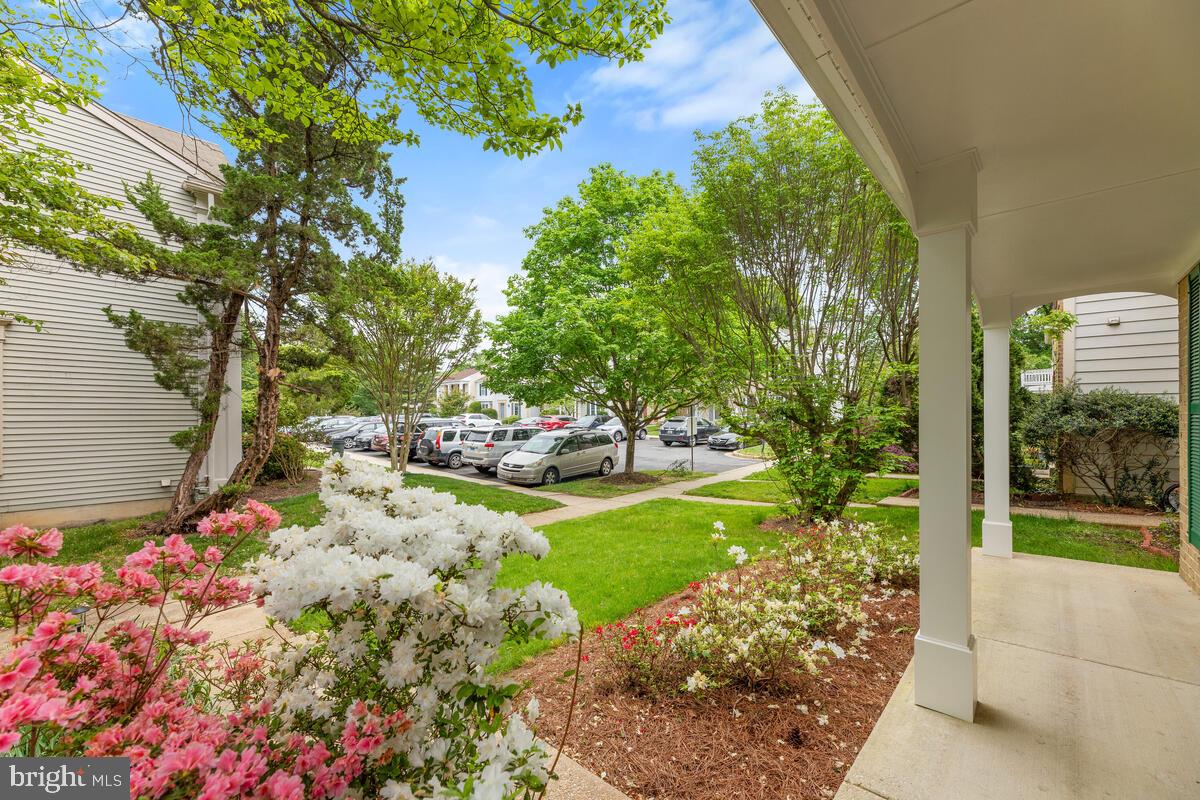 635 Concerto Lane Silver Spring, MD 20901 - Photo 3 of 50 Mature Azaleas Add Color to Your Life!