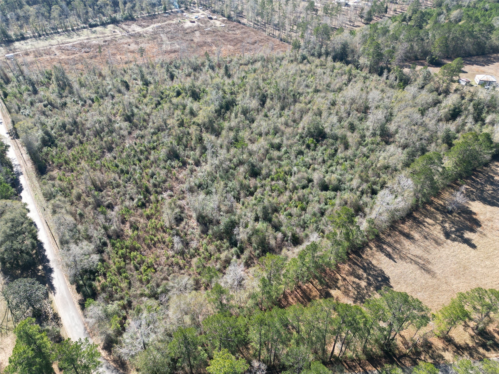 699 County Road 4800 Road West Warren, TX 77664 - Photo 2 of 7