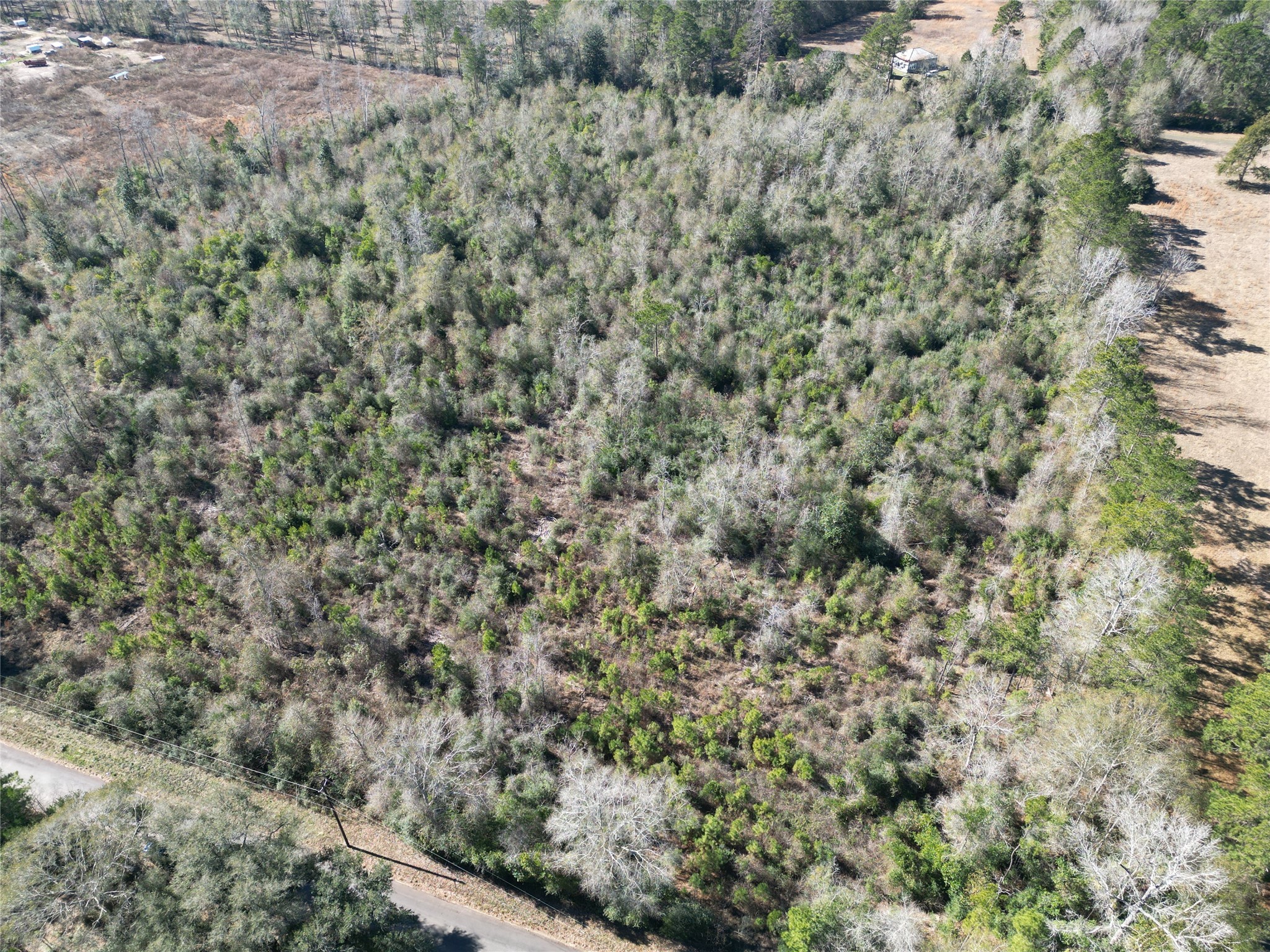 699 County Road 4800 Road West Warren, TX 77664 - Photo 4 of 7