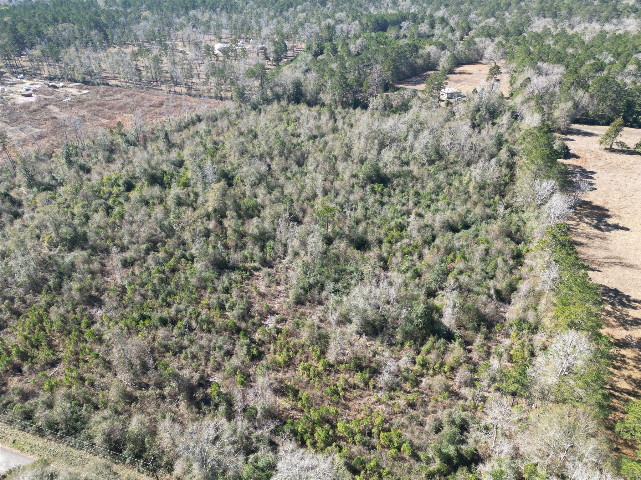 699 County Road 4800 Road West Warren, TX 77664 - Photo 5 of 7