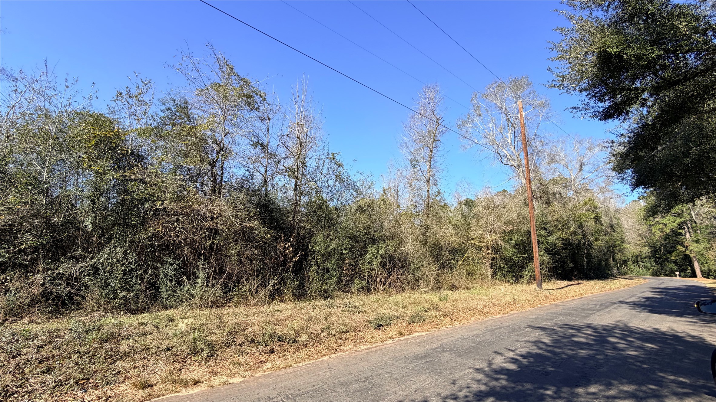 699 County Road 4800 Road West Warren, TX 77664 - Photo 6 of 7