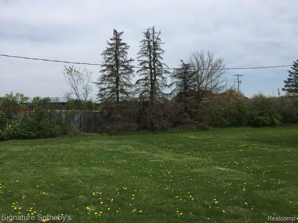 14523 South Duffield Road Byron, MI 48418 - Photo 22 of 26 duffield 12.jpg