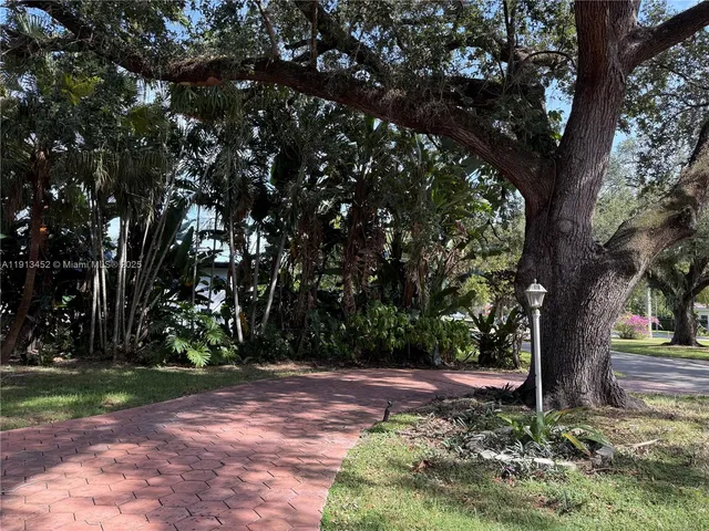 a view of a trees in a yard