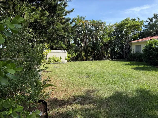 a view of a trees with a yard