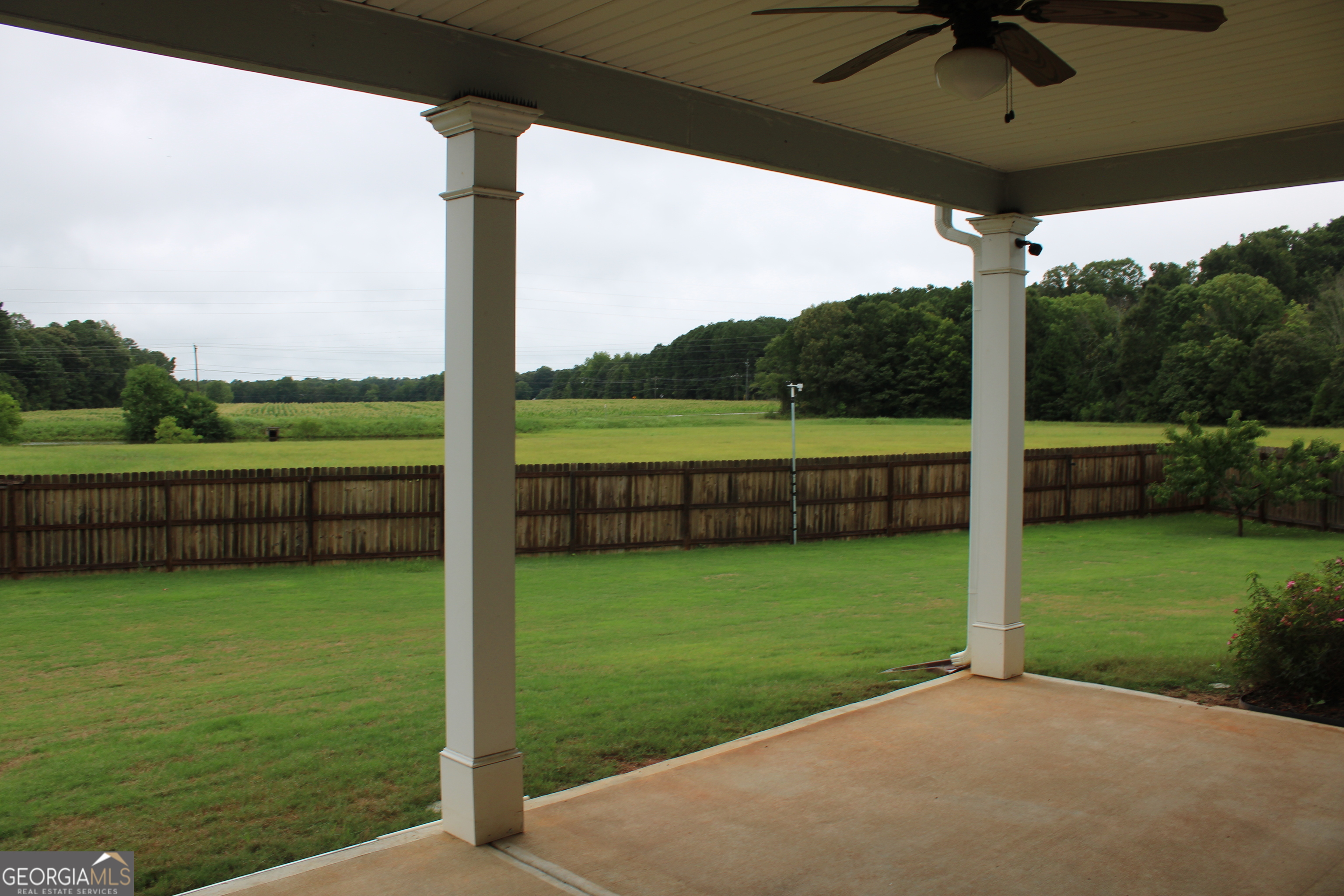 40 Owens Path Senoia, GA 30276 - Photo 14 of 21 a view of a garden with a big yard