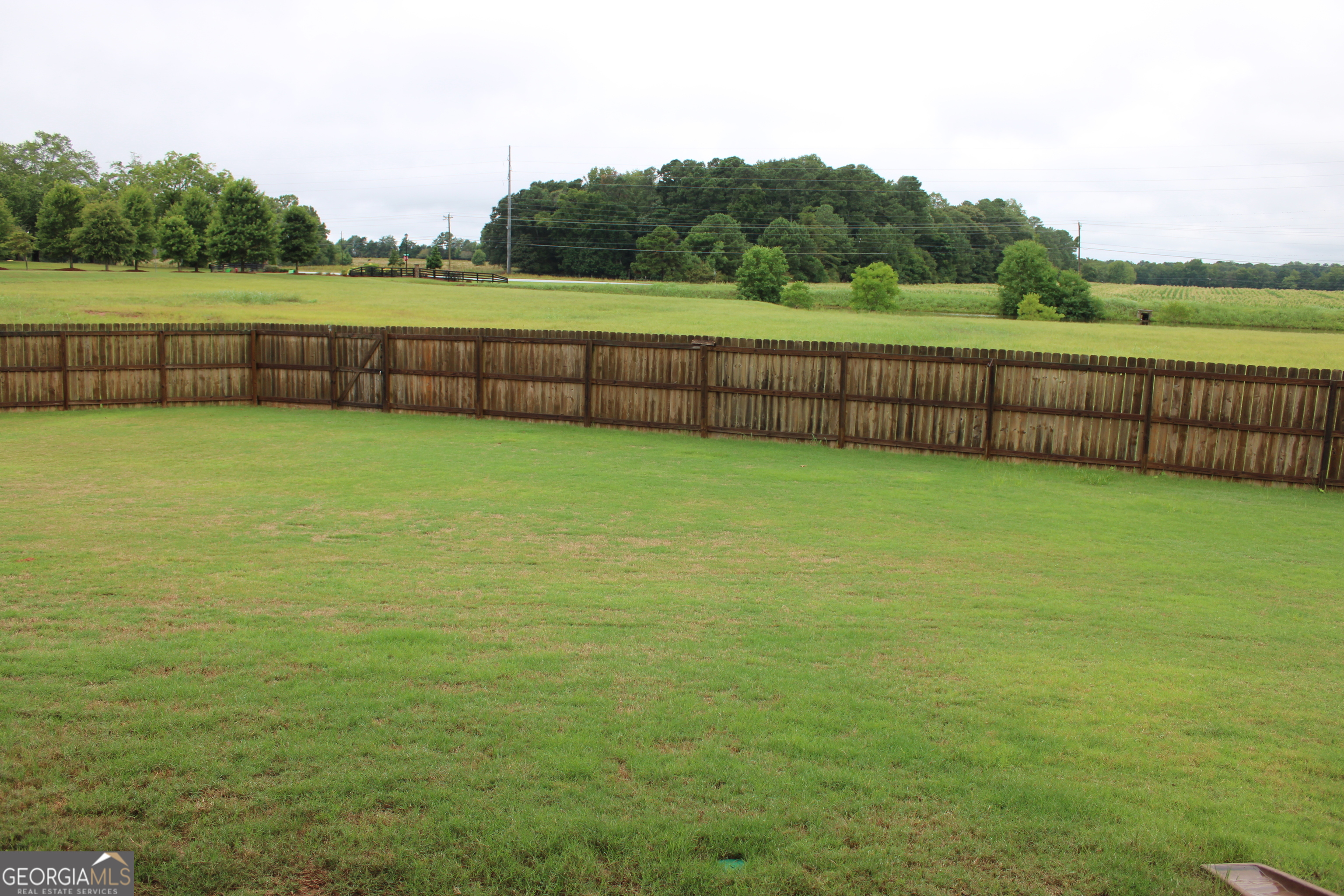 40 Owens Path Senoia, GA 30276 - Photo 16 of 21 a view of a yard