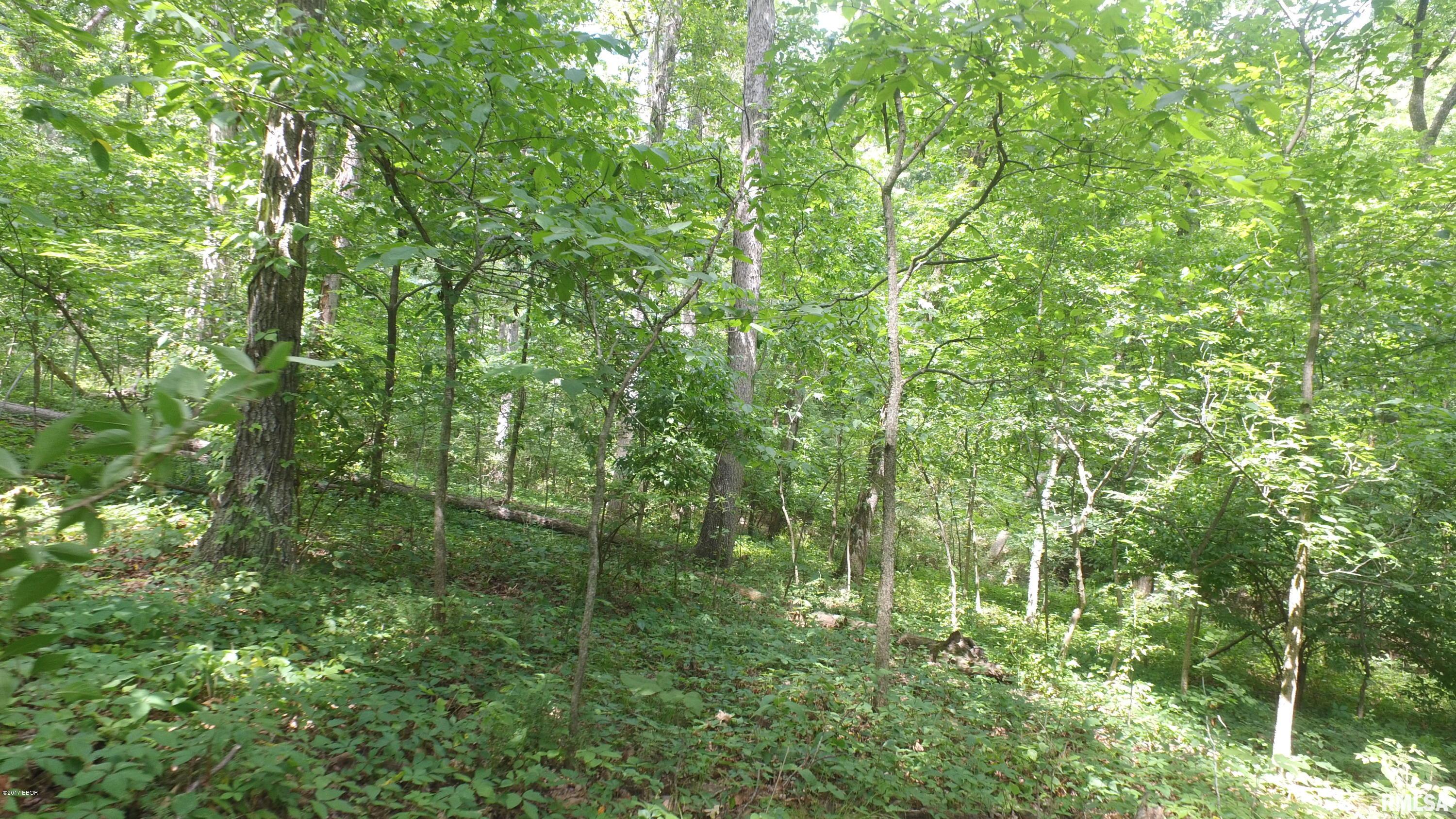 6578-9 Nine Mile Road Ellis Grove, IL 62241 - Photo 40 of 50
