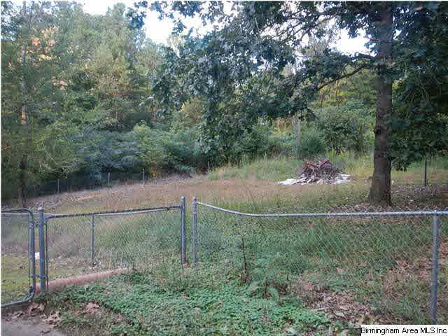 5568 Dug Hollow Road Pinson, AL 35126 - Photo 2 of 14