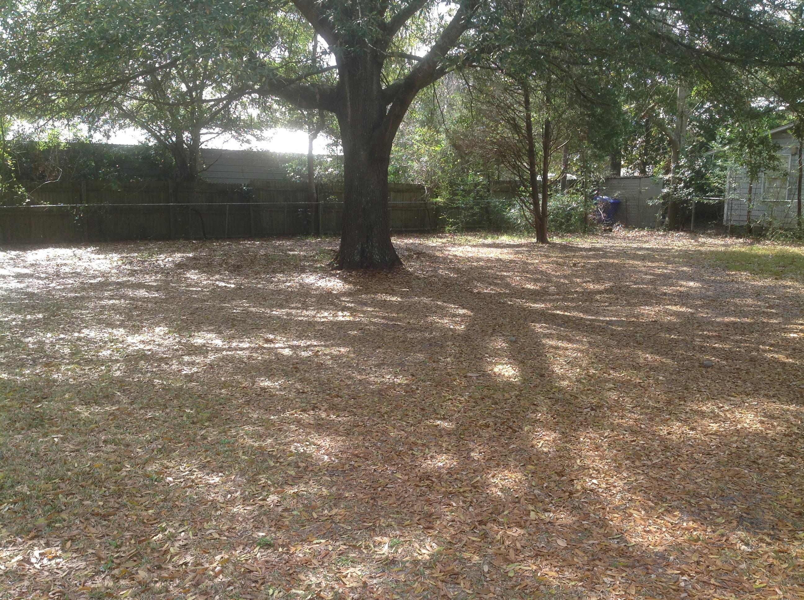 1509 Gardenia Road Charleston, SC 29407 - Photo 28 of 37 IMG_5610