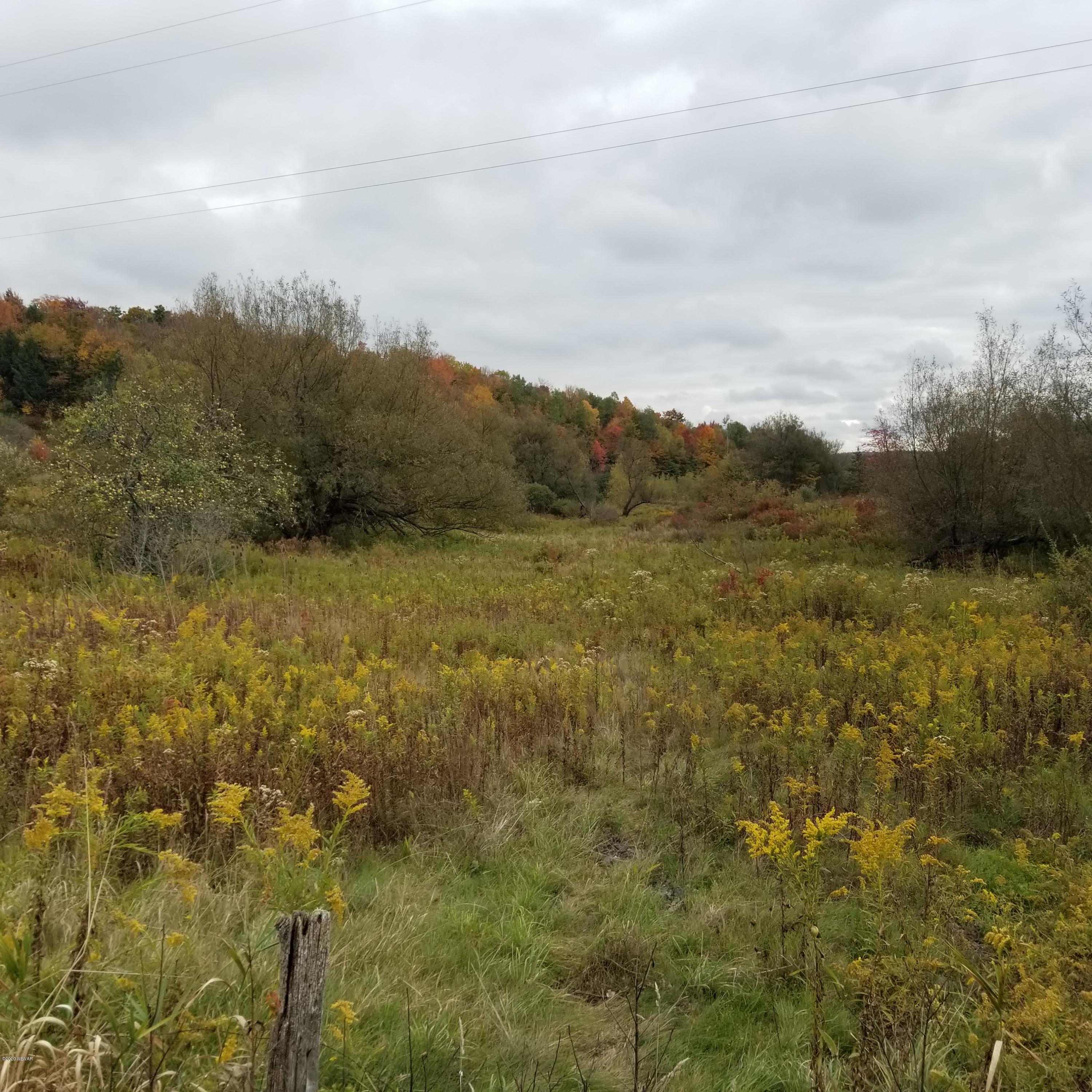Mountain Road, Unit 5 Dushore, PA 18614 - Photo 8 of 9 Gallery Image 8