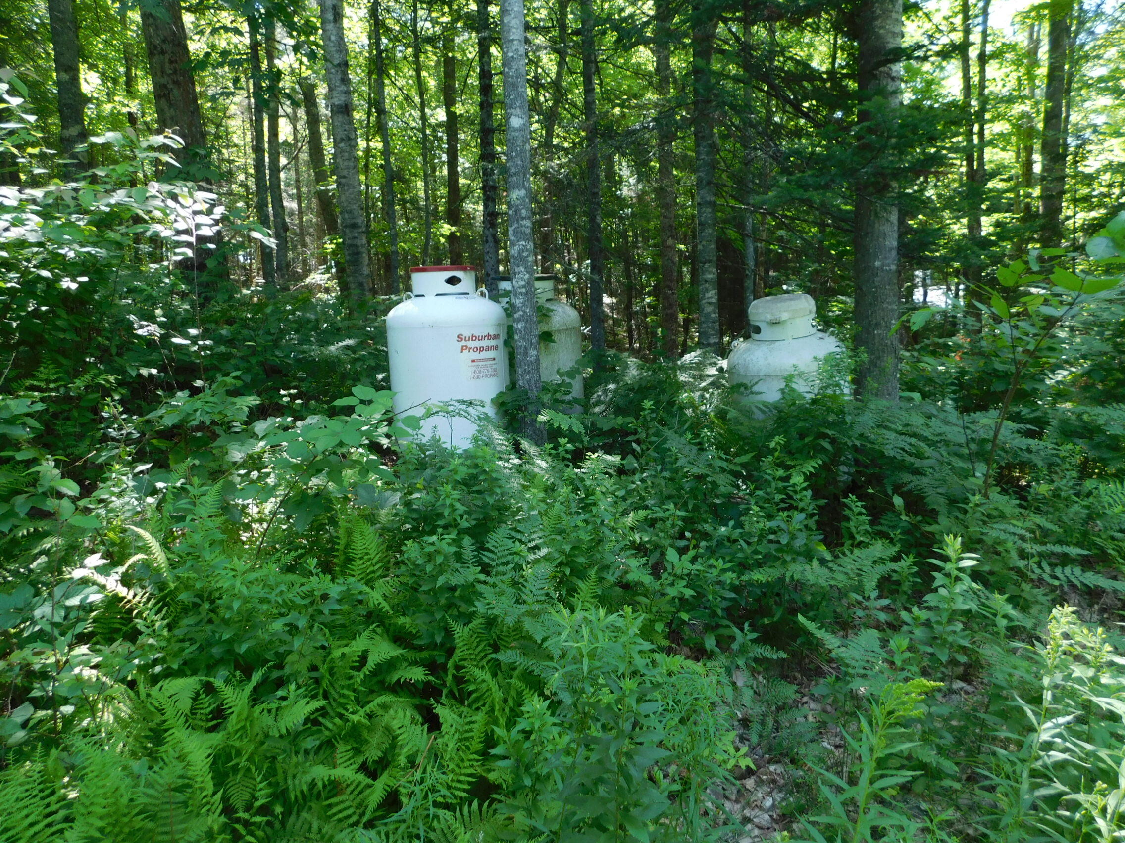 6 Locust Drive Embden, ME 04958 - Photo 11 of 26 DSCN2651