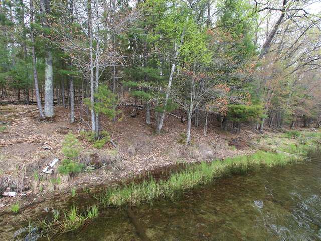 Near1220 Shields Road St. Germain, WI 54558 - Photo 2 of 9 Gallery Image 2