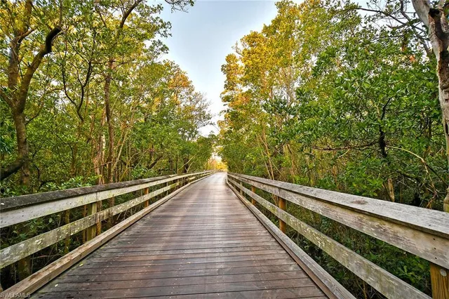 a view of an ocean beach