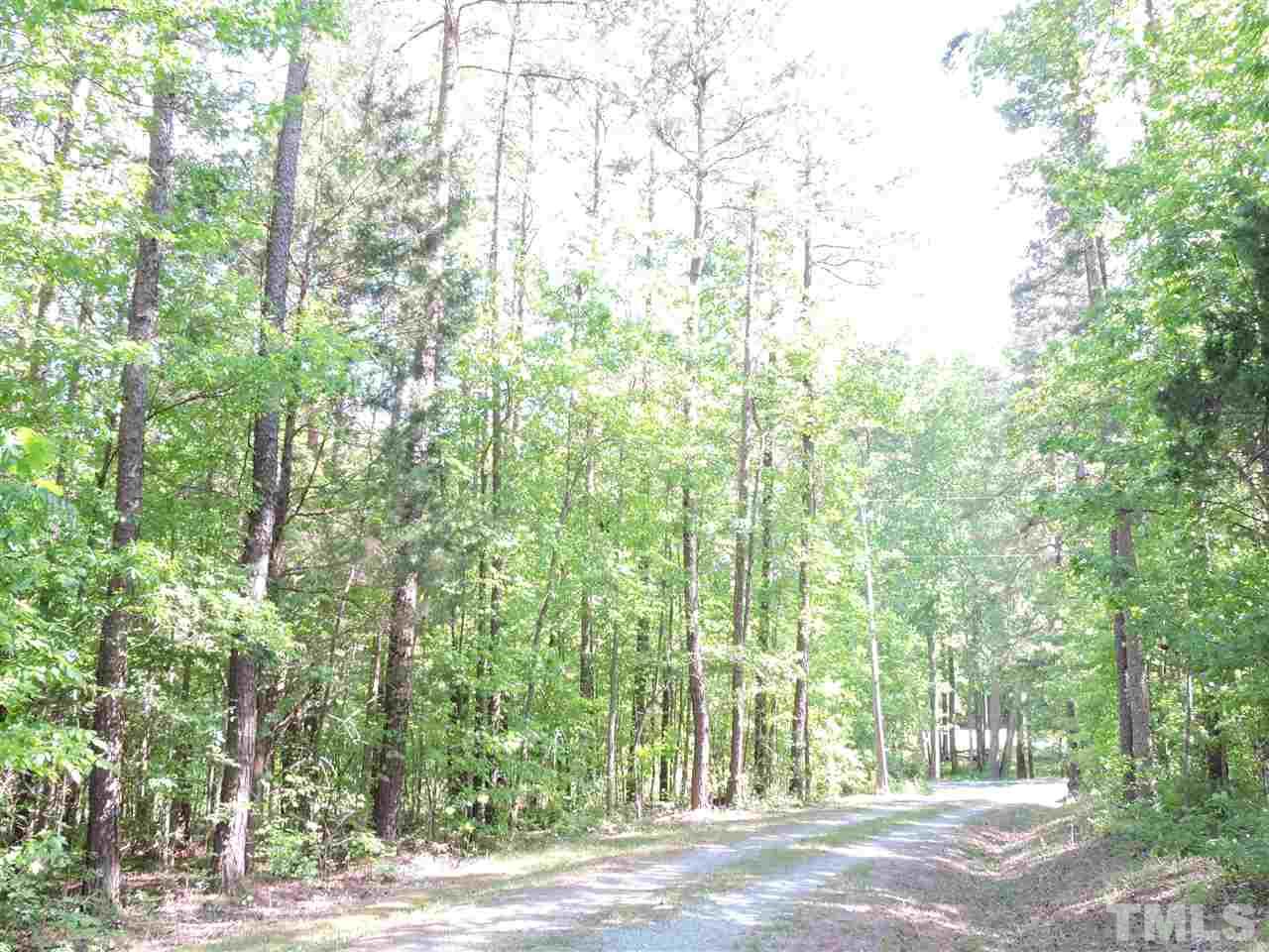 3360 Cates Mill Road Roxboro, NC 27574 - Photo 17 of 17 a view of a plants and trees