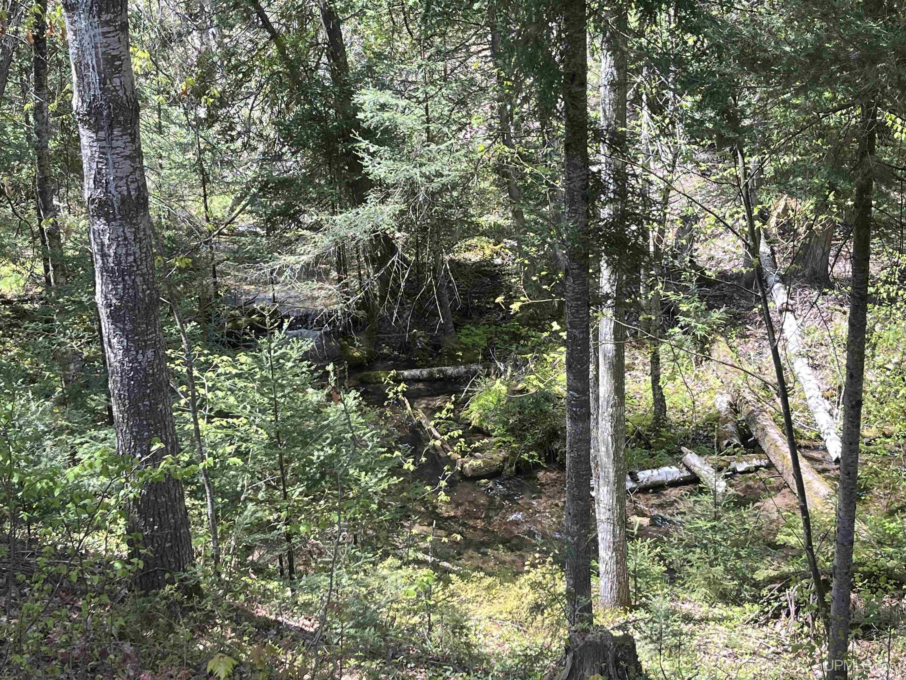 38-acres County Rd NA Road Marquette, MI 49855 - Photo 28 of 70