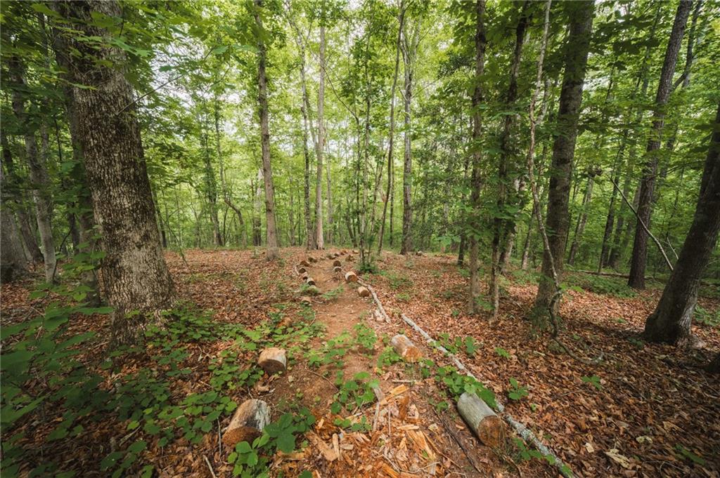 2197 Damascus Road Ball Ground, GA 30107 - Photo 36 of 41