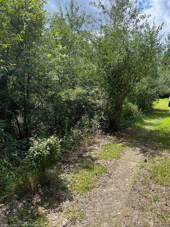 7740 Brockway Road Melvin, MI 48454 - Photo 2 of 5