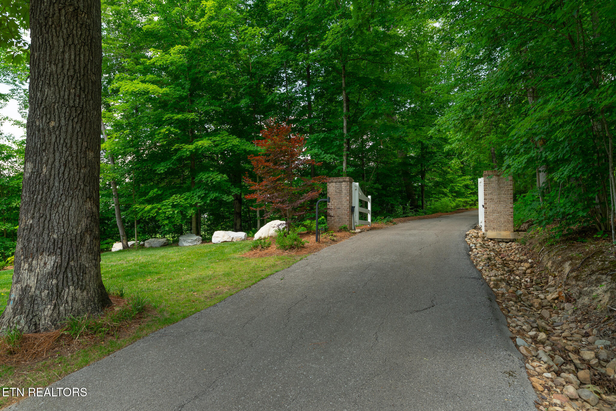 6701 Ridgerock Lane Knoxville, TN 37909 - Photo 59 of 60 untitled-67