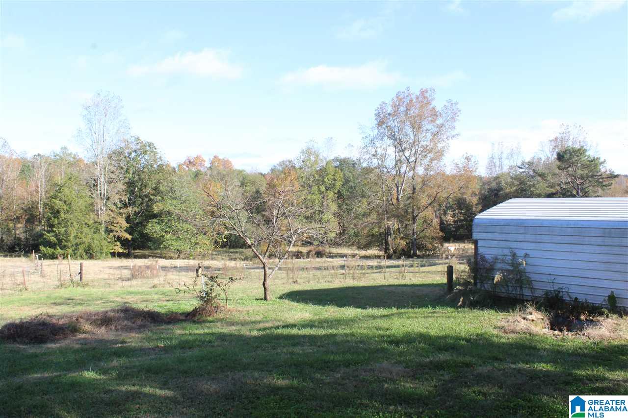 853 Bailey Road Cragford, AL 36255 - Photo 13 of 39