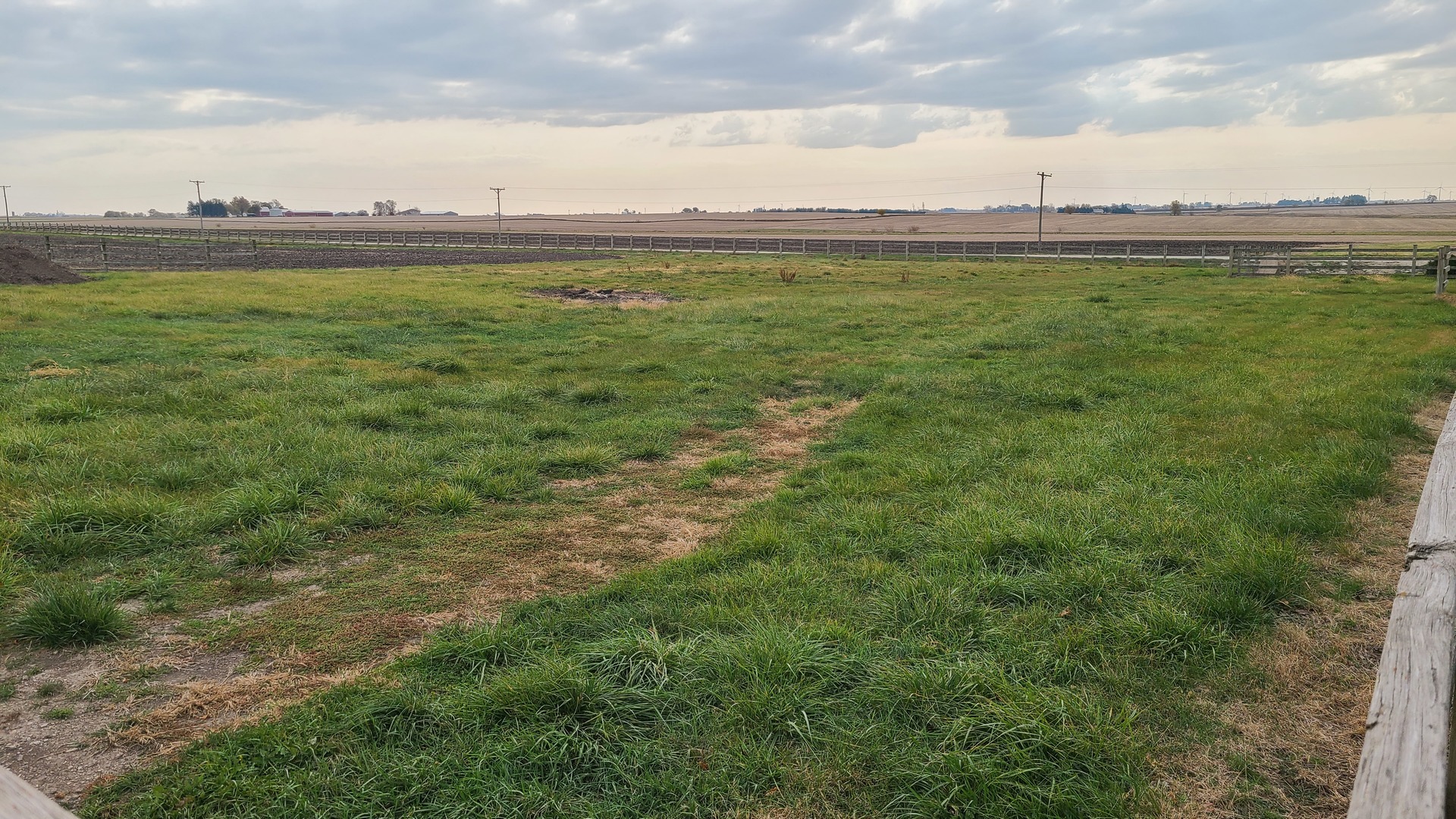 159 Twombly Road Malta, IL 60150 - Photo 23 of 31 a view of a lake with a big yard and a large trees