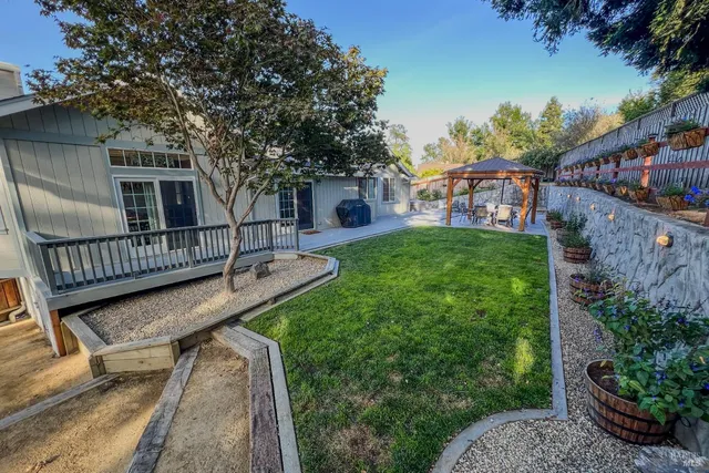 a view of patio with table and chairs potted plants and a large tree