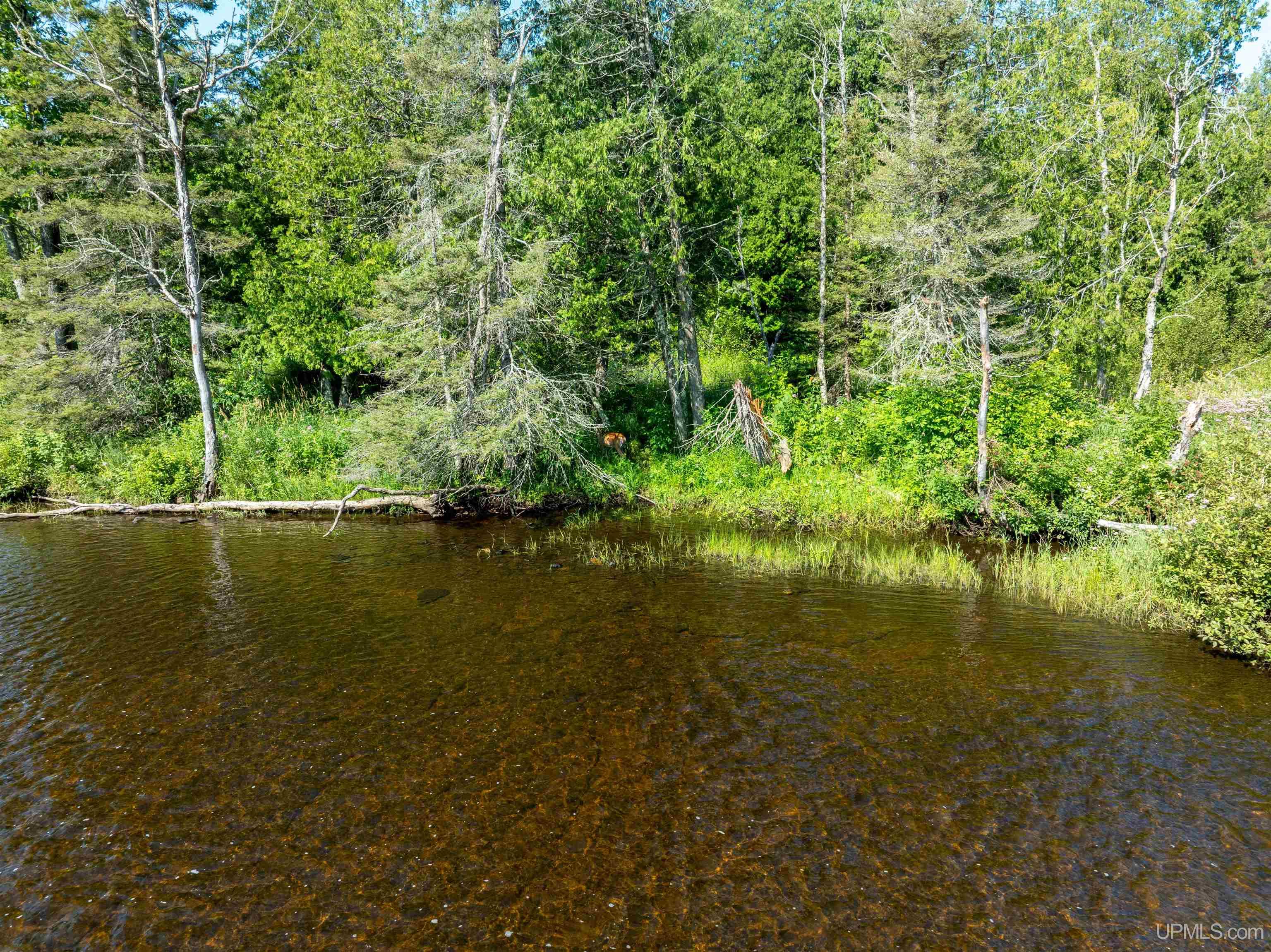 75 Rd Rapid River Munising, MI 49862 - Photo 41 of 48