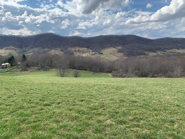 Tbd Big Valley Road Monterey, VA 24465 - Photo 6 of 17 Gallery Image 6