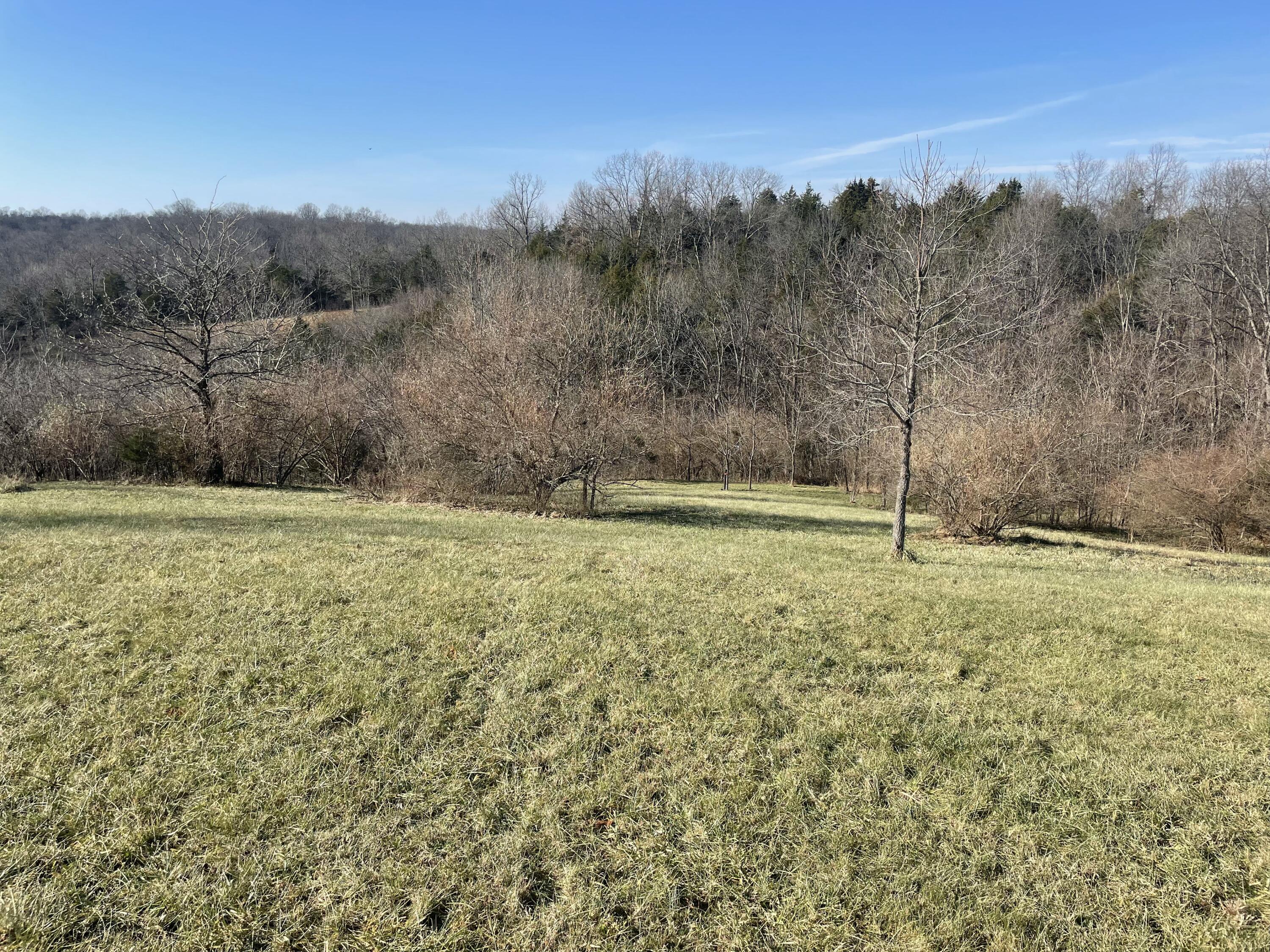 1078 Hamilton Road Brooksville, KY 41004 - Photo 29 of 50